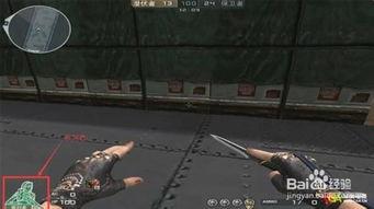 cf最新爆料图集大全,揭秘游戏新内容与更新亮点