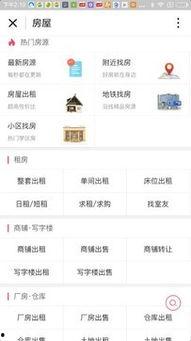 最新百姓爆料小程序,小程序实时捕捉社会热点