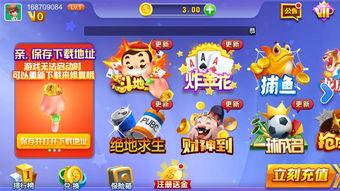 铁瓜游乐场最新爆料下载,最新爆料带你领略刺激狂欢之旅