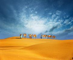 最新沙漠爆料新闻事件视频,最新视频揭秘惊人真相